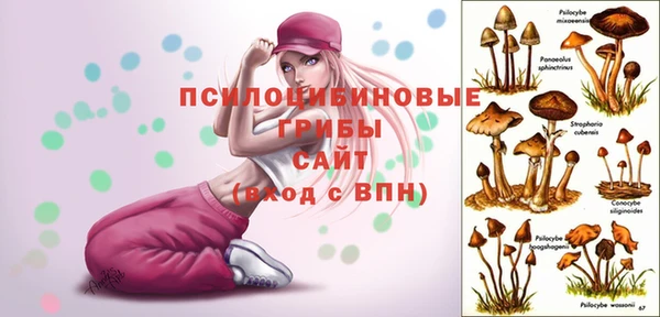 амф Каменногорск
